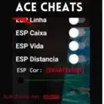 Ace Cheats Injector