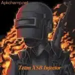 Team XSB Injector