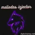 Meliodas Injector