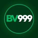 BV999.com