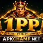 1PP Game